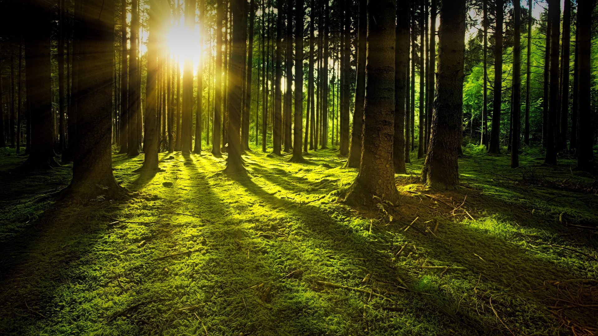 parallax background
